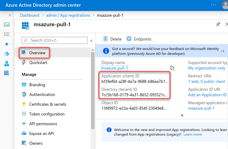 Recording the Application and Directory ID