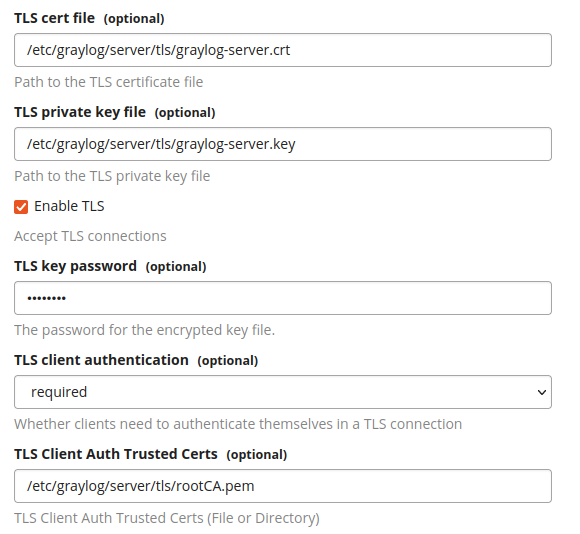 Graylog input TLS